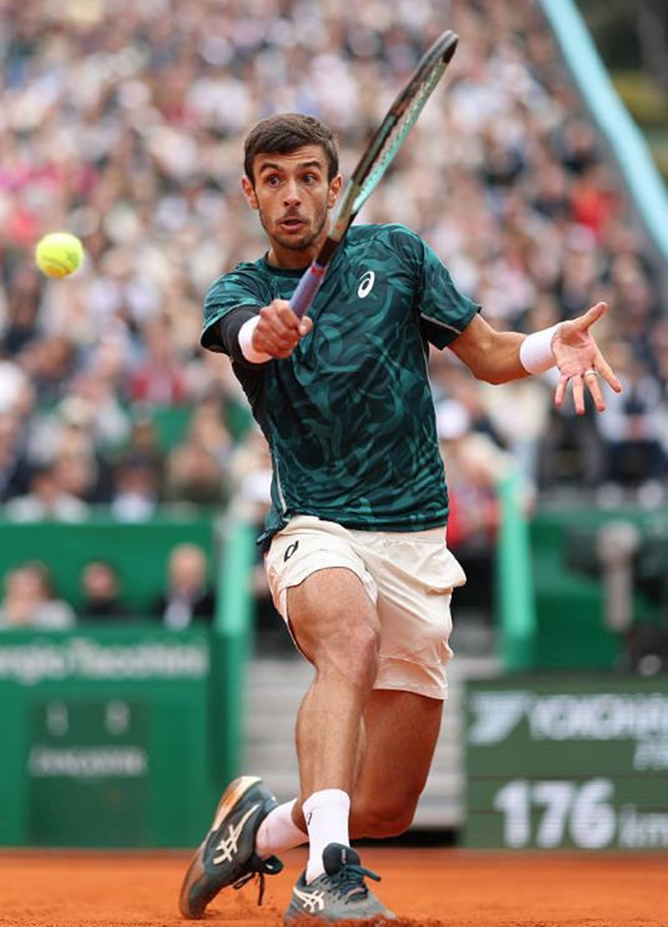 球新星崭露 球新星崭露