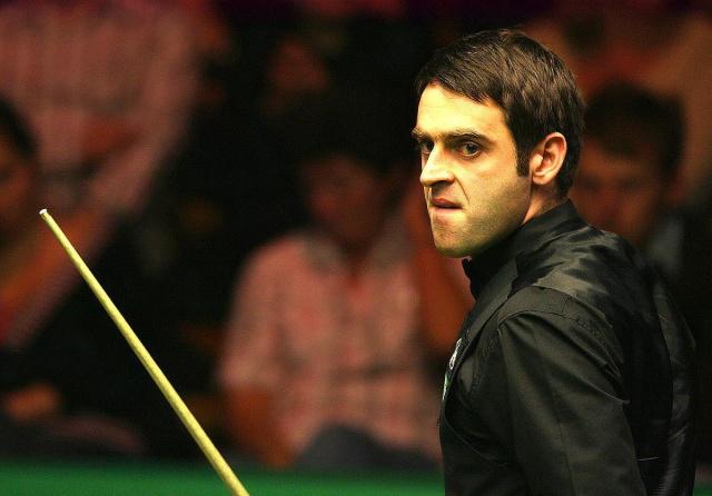 供了广阔的 供了广阔的